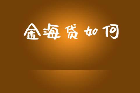 金海贷如何_https://m.letulww.com_期货开户保证金_第1张