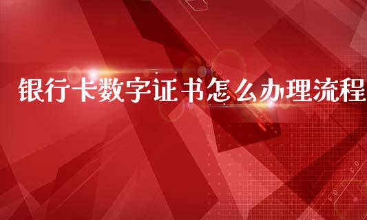 银行卡数字证书怎么办理流程_https://m.letulww.com_期货开户保证金_第1张