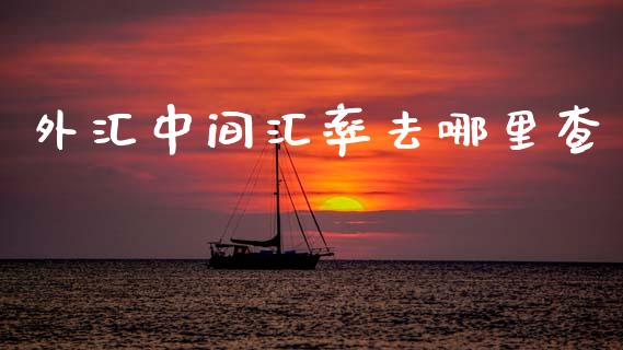 外汇中间汇率去哪里查_https://m.letulww.com_期货开户保证金_第1张