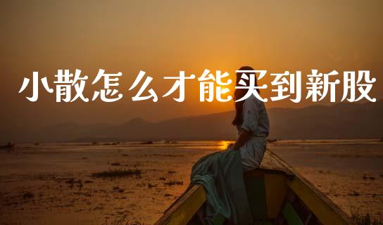 小散怎么才能买到新股_https://m.letulww.com_股指期货交易时间_第1张