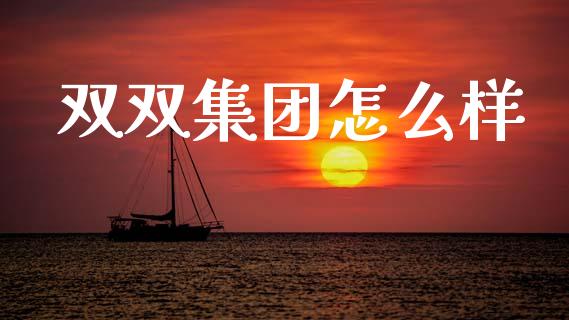 双双集团怎么样_https://m.letulww.com_期货交易软件_第1张
