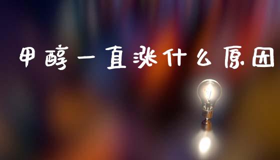甲醇一直涨什么原因_https://m.letulww.com_期货交易策略_第1张
