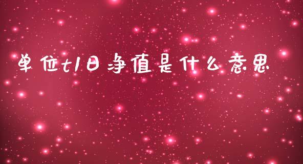 单位t1日净值是什么意思_https://m.letulww.com_股指期货交易时间_第1张