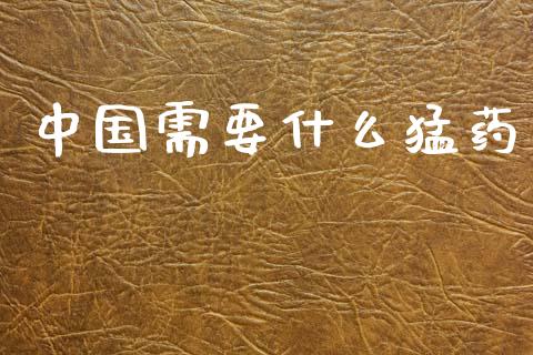 中国需要什么猛药_https://m.letulww.com_期货交易策略_第1张