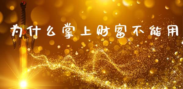 为什么掌上财富不能用_https://m.letulww.com_股指期货交易时间_第1张