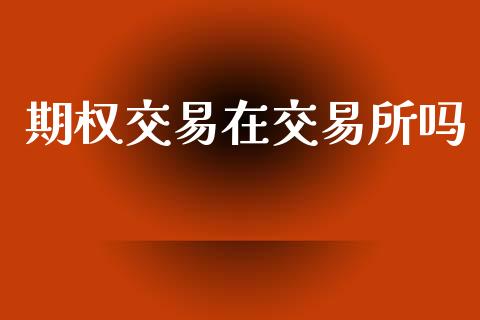 期权交易在交易所吗_https://m.letulww.com_股指期货交易时间_第1张