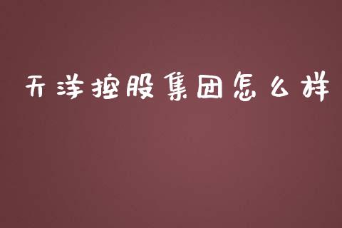 天洋控股集团怎么样_https://m.letulww.com_股指期货交易时间_第1张