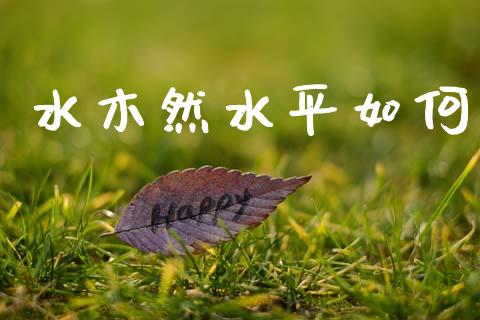 水木然水平如何_https://m.letulww.com_期货交易策略_第1张