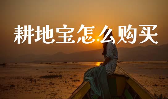 耕地宝怎么购买_https://m.letulww.com_期货交易策略_第1张