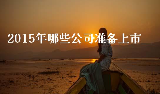 2015年哪些公司准备上市_https://m.letulww.com_股指期货交易时间_第1张
