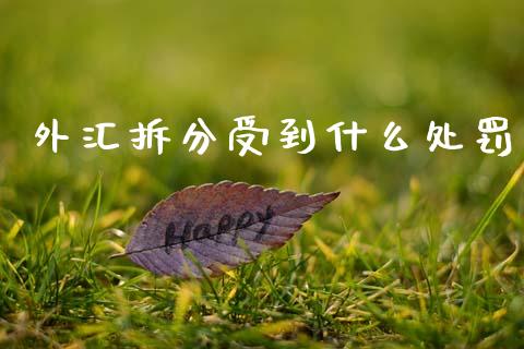 外汇拆分受到什么处罚_https://m.letulww.com_期货交易策略_第1张