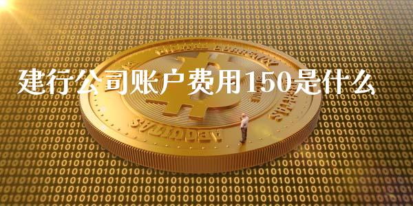 建行公司账户费用150是什么_https://m.letulww.com_期货交易软件_第1张