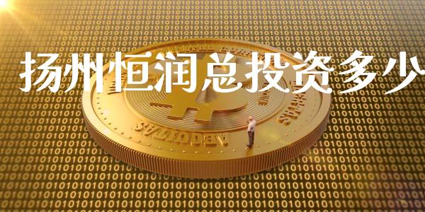 扬州恒润总投资多少_https://m.letulww.com_期货开户保证金_第1张
