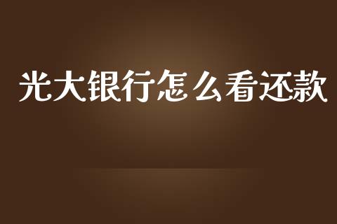 光大银行怎么看还款_https://m.letulww.com_期货开户保证金_第1张