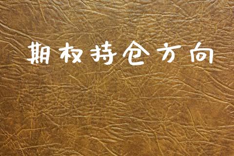 期权持仓方向_https://m.letulww.com_期货交易策略_第1张