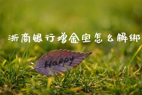 浙商银行增金宝怎么解绑_https://m.letulww.com_股指期货交易时间_第1张