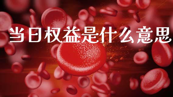 当日权益是什么意思_期货交易策略_第1张_期货开户保证金_期货交易软件_股指期货交易时间_期货交易策略 当日权益是什么意思_https://m.letulww.com_期货交易策略_第1张