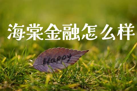 海棠金融怎么样_https://m.letulww.com_股指期货交易时间_第1张
