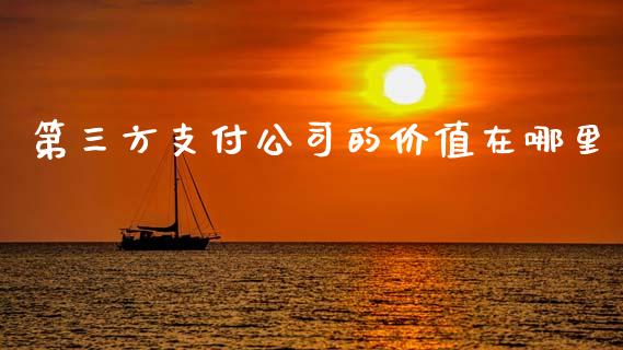 第三方支付公司的价值在哪里_https://m.letulww.com_期货开户保证金_第1张