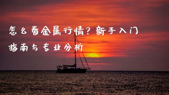 怎么看金属行情？新手入门指南与专业分析_https://m.letulww.com_股指期货交易时间_第1张