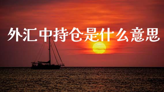 外汇中持仓是什么意思_https://m.letulww.com_期货交易策略_第1张