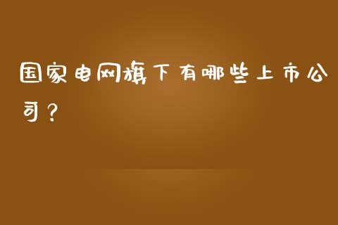 国家电网旗下有哪些上市公司？_https://m.letulww.com_期货开户保证金_第1张