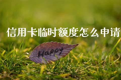 信用卡临时额度怎么申请_https://m.letulww.com_期货开户保证金_第1张