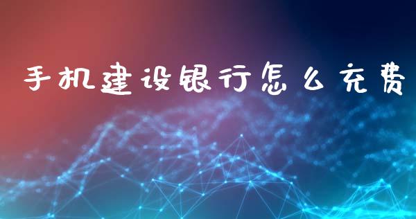 手机建设银行怎么充费_https://m.letulww.com_期货交易软件_第1张