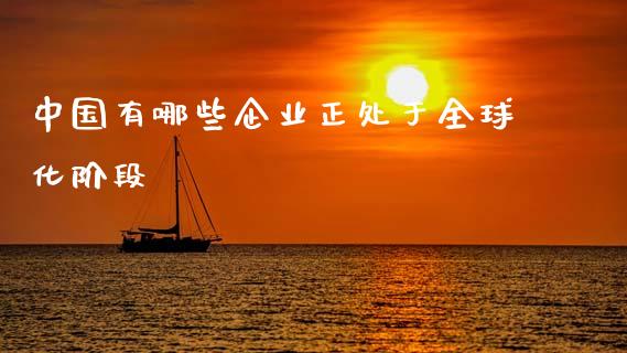 中国有哪些企业正处于全球化阶段_https://m.letulww.com_期货交易软件_第1张