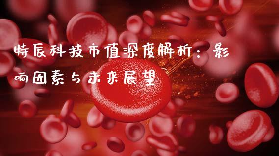 特辰科技市值深度解析：影响因素与未来展望_https://m.letulww.com_期货交易策略_第1张