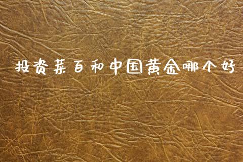 投资菜百和中国黄金哪个好_期货交易软件_第1张_期货开户保证金_期货交易软件_股指期货交易时间_期货交易策略 投资菜百和中国黄金哪个好_https://m.letulww.com_期货交易软件_第1张