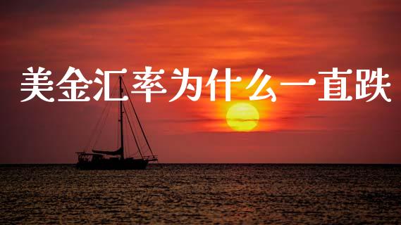 美金汇率为什么一直跌_https://m.letulww.com_期货交易软件_第1张