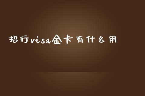 招行visa金卡有什么用_https://m.letulww.com_期货开户保证金_第1张