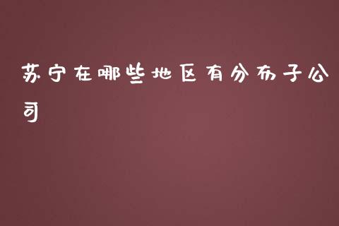 苏宁在哪些地区有分布子公司_https://m.letulww.com_期货交易策略_第1张