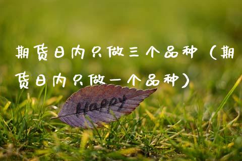 期货日内只做三个品种（期货日内只做一个品种）_https://m.letulww.com_期货交易策略_第1张