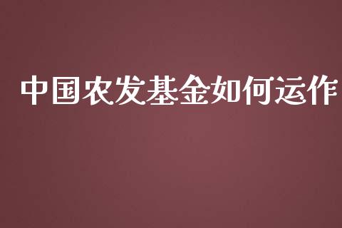中国农发基金如何运作_https://m.letulww.com_期货交易策略_第1张