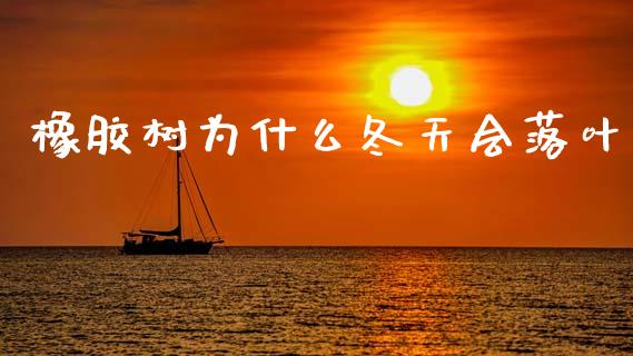 橡胶树为什么冬天会落叶_https://m.letulww.com_期货开户保证金_第1张