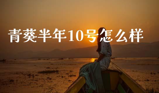 青葵半年10号怎么样_https://m.letulww.com_期货开户保证金_第1张