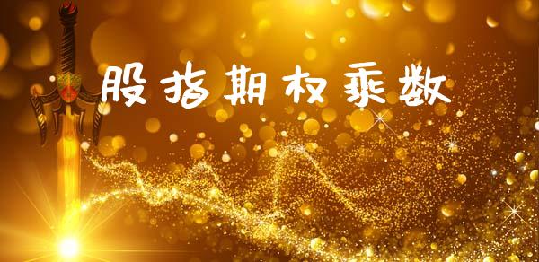 股指期权乘数_https://m.letulww.com_期货交易软件_第1张