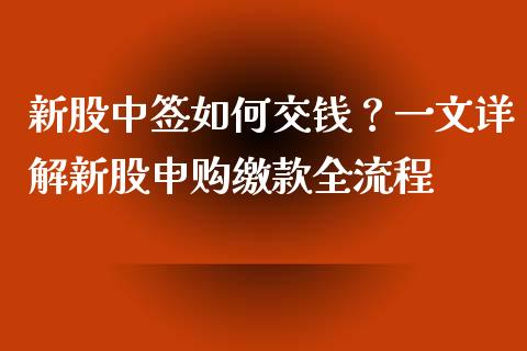 新股中签如何交钱？一文详解新股申购缴款全流程_https://m.letulww.com_期货交易策略_第1张