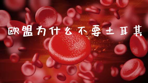 欧盟为什么不要土耳其_https://m.letulww.com_期货交易软件_第1张