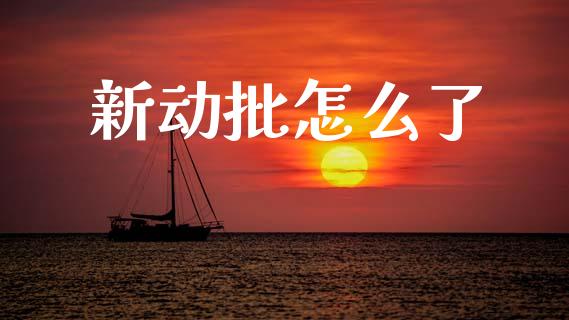 新动批怎么了_https://m.letulww.com_期货交易软件_第1张