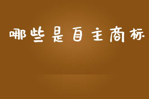 哪些是自主商标_https://m.letulww.com_期货交易策略_第1张