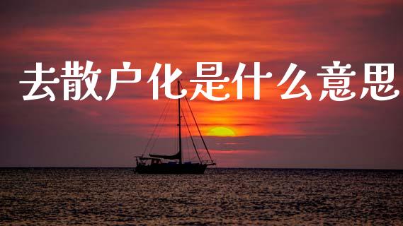 去散户化是什么意思_https://m.letulww.com_股指期货交易时间_第1张