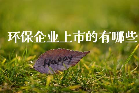 环保企业上市的有哪些_https://m.letulww.com_期货交易软件_第1张