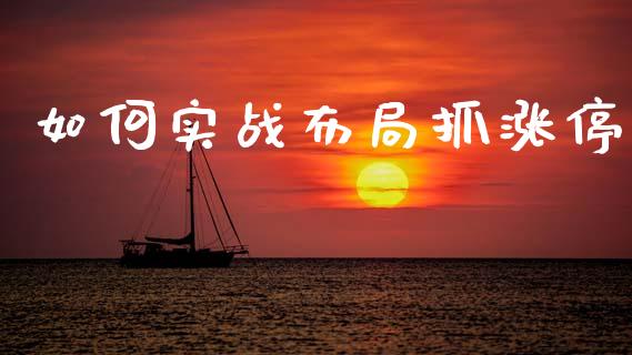 如何实战布局抓涨停_https://m.letulww.com_期货开户保证金_第1张