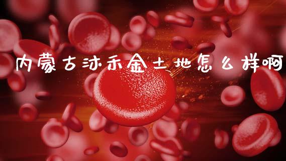 内蒙古沐禾金土地怎么样啊_https://m.letulww.com_股指期货交易时间_第1张