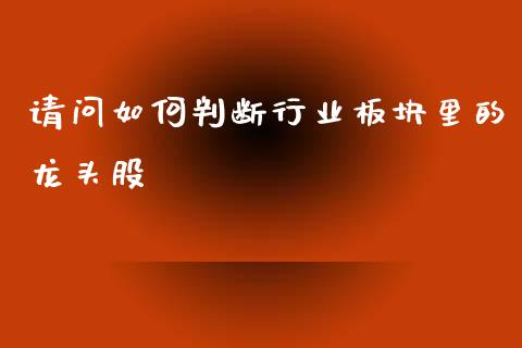 请问如何判断行业板块里的龙头股_https://m.letulww.com_股指期货交易时间_第1张