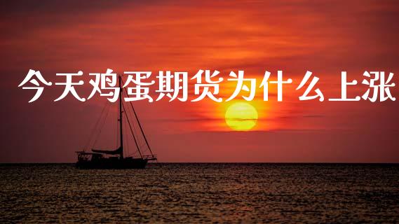 今天鸡蛋期货为什么上涨_https://m.letulww.com_股指期货交易时间_第1张
