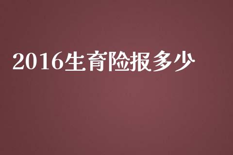 2016生育险报多少_https://m.letulww.com_股指期货交易时间_第1张